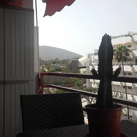 Olimpia Apartement